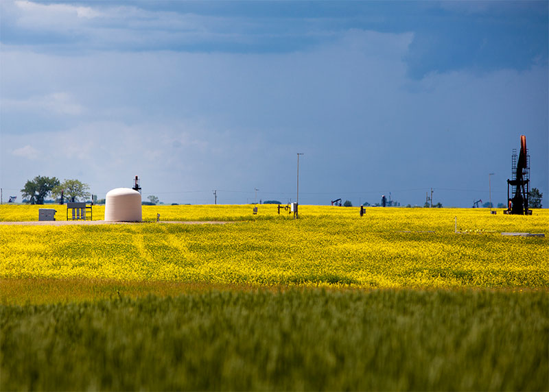 A CO2 injection well rests near an oil production well in a field near Weyburn, Saskatchewan. (Photo courtesy of the Petroleum Technology Research Centre.)