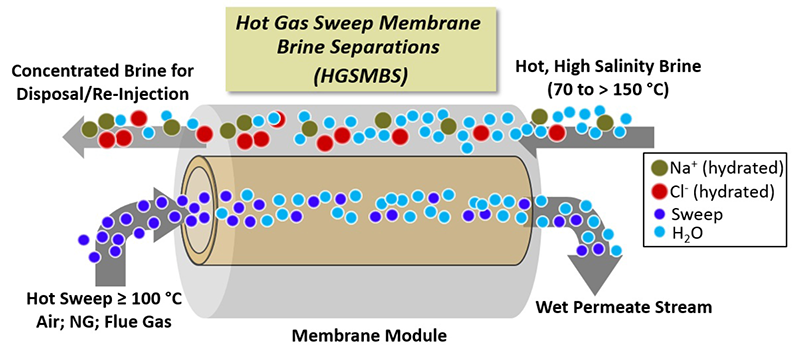 sweep the membranes