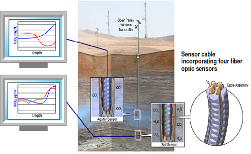 Sensor Cable Incorporating Four Fiber Optic Sensors