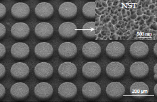 Nano Structured-Titania Sensing Platform