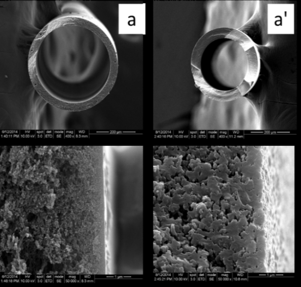 SEM images of (a) a base PBI hollow fiber membrane and (a’) carbonized hollow fiber