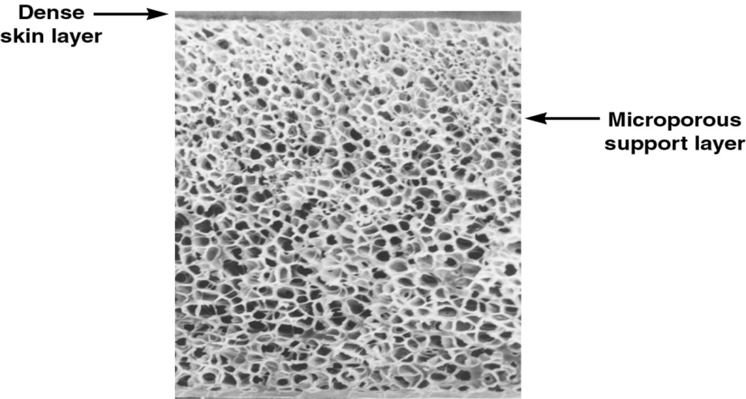 Image of a thin-film composite membrane showing polymer layer and microporous support layer