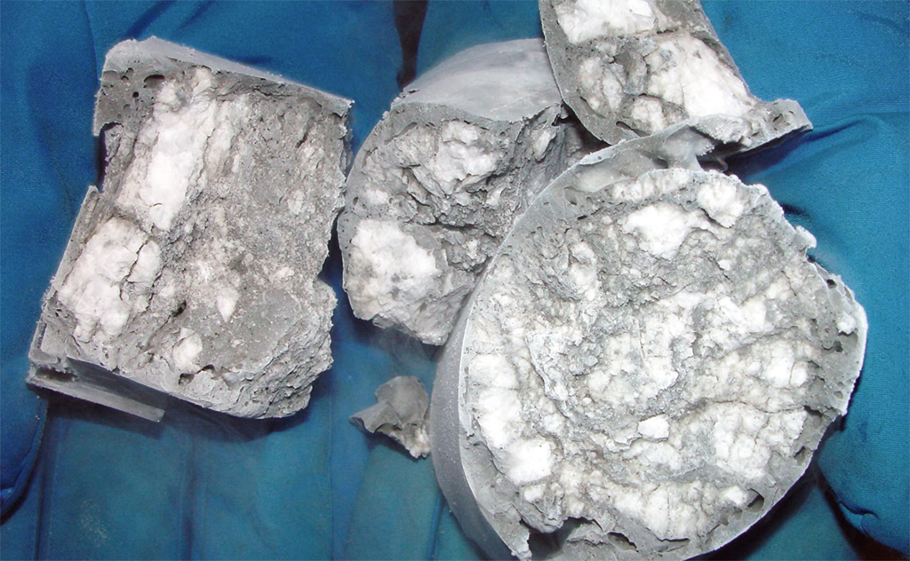 Gas hydrate (white material) in marine sediments collected off the Oregon coast. Photo credit: USGS. 