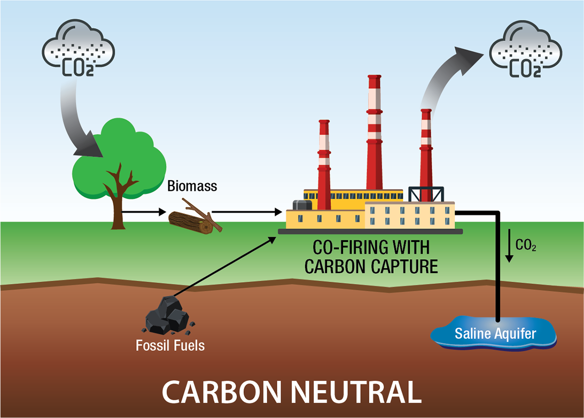 Carbon-Neutral-72.png
