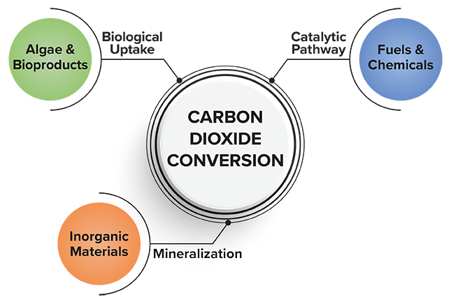 Carbon Dioxide Conversion