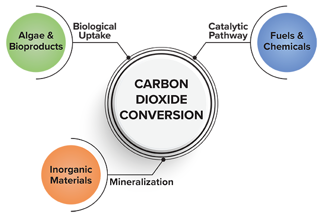 Catalyzing carbon dioxide: System can transform CO2 into CO for