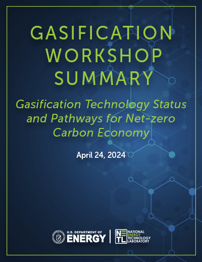 gasification Workshop Report