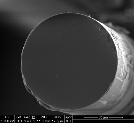 Scanning electron microscopy image of cross-section of NETL optical fiber sensor after 3 days in 800 PSI of CH4 pressure at 80 °C.