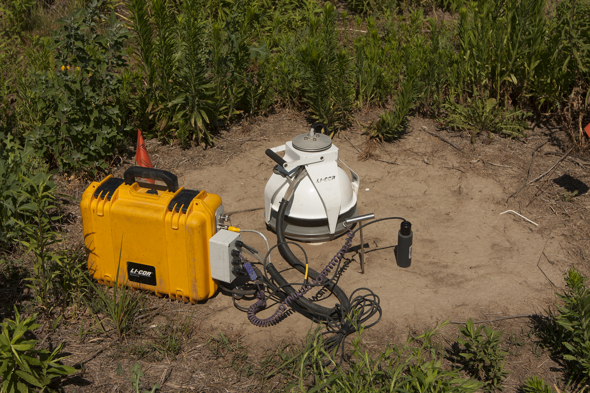 Deployment of accumulation chamber, soil moisture probe, and soil temperature probe during routine soil CO<sub>2</sub> flux data monitoring at the IBDP site..