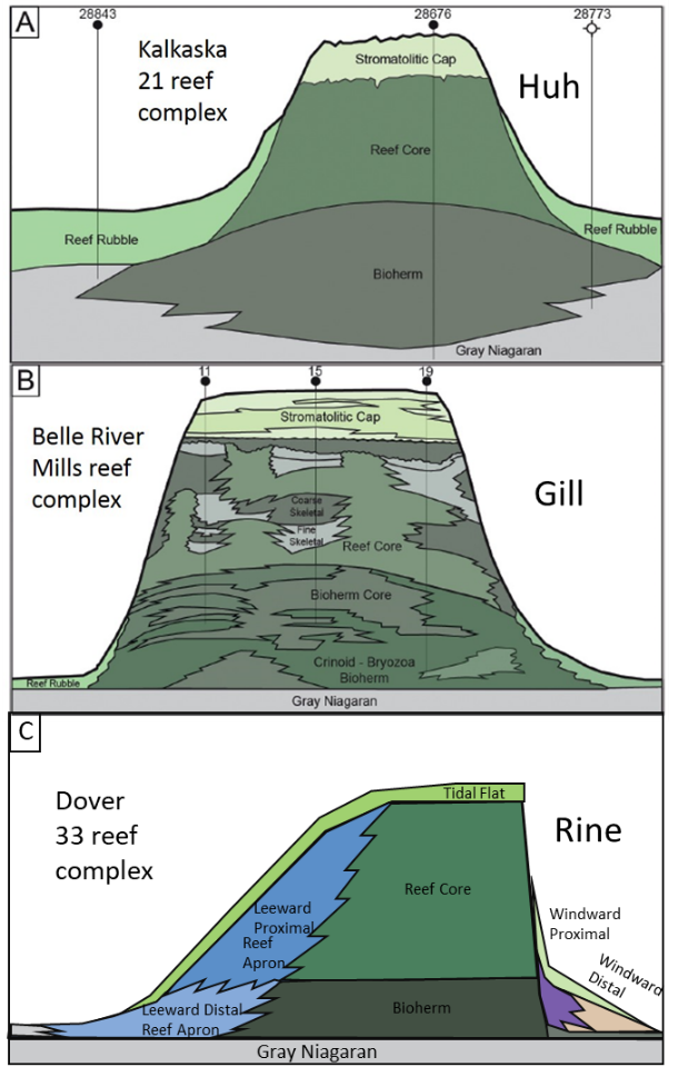 Evolving conceptualization of the internal structure of the reefs, which greatly influences presence of oil and gas, as well as the CO2 storage potential.