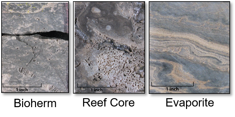 Rock facies variation within the reefs results from variable lithologies, as well as the original depositional setting.