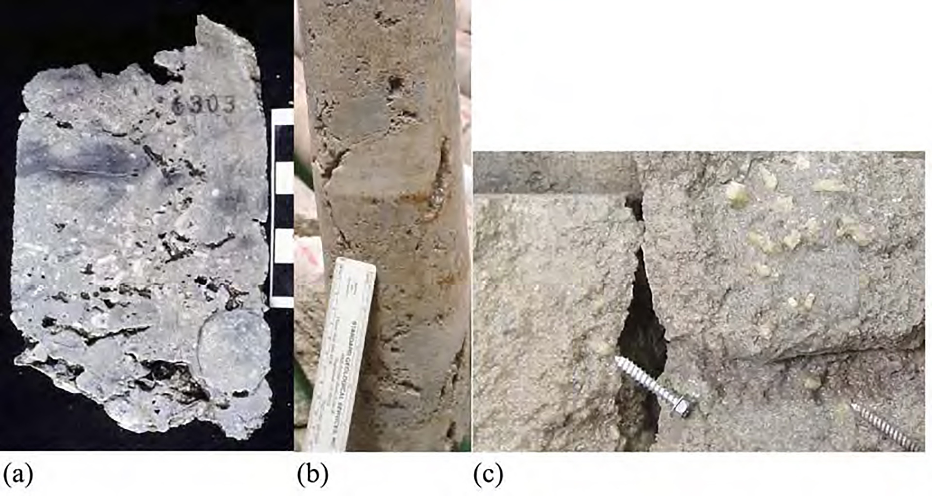 The evidence of meteoric diagenesis processes in SACROC Unit cores: (a) vuggy porosity from well 17-5 (Raines, 2003), (b) vuggy porosity from well 37-11, and (c) calcite crystal growth indicates that fractures are open and reservoir fluid passed through it.