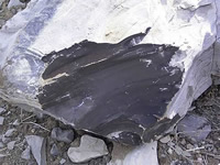 Close-up of fractured oil shale specimen from the Uinta Basin, Utah, showing weathered (white) and unweathered (black) surfaces. Photo courtesy of Argonne National Laboratory.