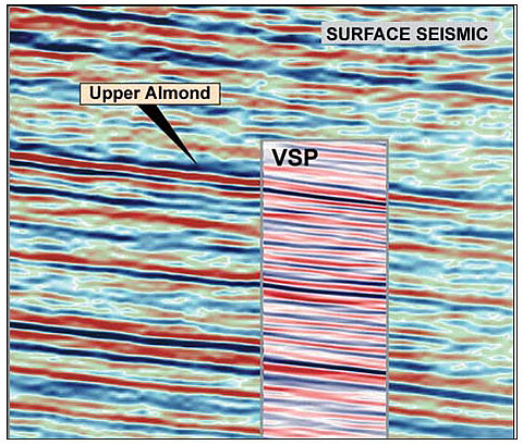 Comparison of a 3-D surface seismic image with a 3-D VSP image slice at the same location. Note the increased resolution and detail of the 3-D VSP image.