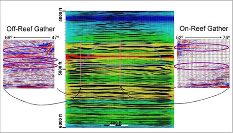 The processed crosswell seismic image is shown in color, with colors representing seismic velocities, and the overlay showing the seismic reflection traces as wiggles with positive values blackened. Note that the vertical axis is depth in feet, not time. The approximate outline of the reef is sketched in. Two seismic gathers displaying the amplitudes as a function of angle are shown—one (on the left) is for a region off-reef, as indicated by the vertical line, and the other is on-reef. Some specific events are highlighted by ovals showing profound AVA character. Note that the center of the reef appears to be an area of low-amplitude reflections, in this image using a very wide range of angles in stacking