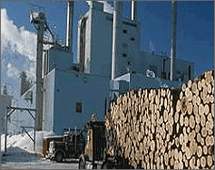 Wood delivery to pulp mill 