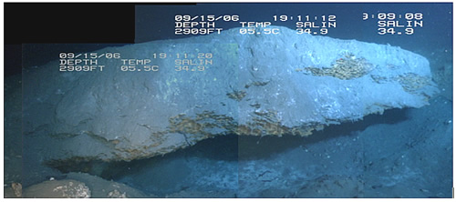 Extending from the wall of the southwest crater complex on the mound at MC 118, is the largest (~6x2x1.5 m) outcrop of marine gas hydrate ever documented in the Gulf of Mexico.