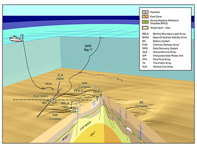 Gas hydrate Sea-Floor Observatory - Mississippi Canyon Block 118