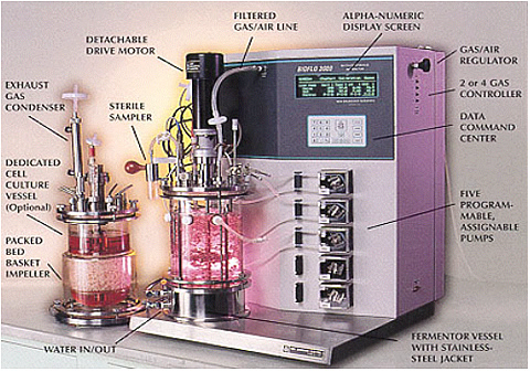 Modified natural gas pipeline test cell