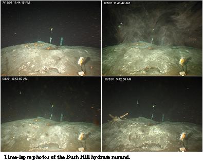 A time-lapse digital camera assembly installed on the seafloor recorded hourly images of the growth or dissolution of an exposed hydrate deposit.