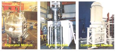 Subsea processing modules