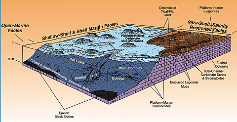 Block diagram of the Desert Creek facies showing the shoreline carbonate deposits in the Paradox Formation of AZ,CO, and UT.