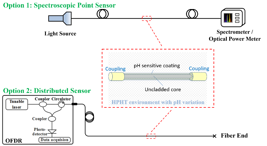 SOFC Fiber Optic Sensors