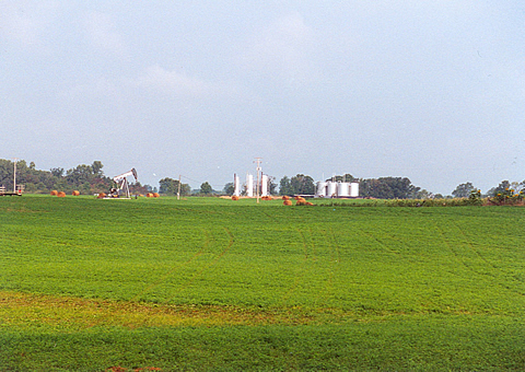 Vernon field in Isabella County, MI.