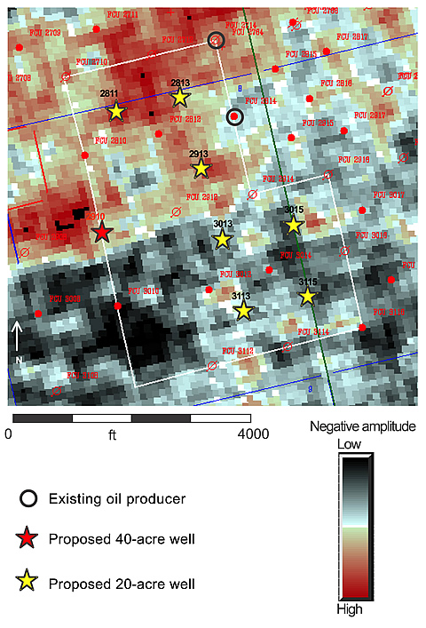 3-D seismic amplitude extractions provide excellent images of porosity distribution for selecting optimum areas for infill drilling. Areas of high negative amplitude (orange-red colors) define high porosity, whereas gray-black areas define low porosity. 3-D data show that proposed wells in the northern half of the area will encounter reservoir porosity but those in the southern half will not. Based on these data, the latter wells were not drilled.