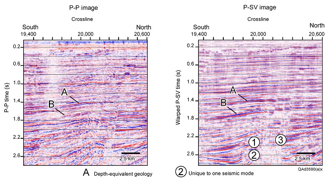 Comparison of deep, depth-equivalent, P-P and P-SV data windows, Gulf of Mexico. These data are a classic example of the principle of elastic-wavefield seismic stratigraphy in that the sequence geometry defined by P-SV features 1 and 2 differs from the P-P geometry.