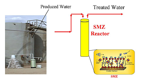 Vapor-phase bioreactor with surfactant-modified zeolite membrane.
