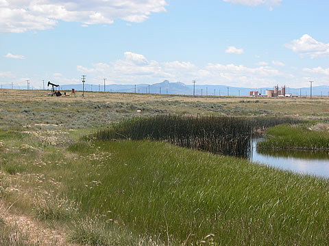 View of a produced-water discharge in Elk Basin field in the Big Horn Basin that is used to create habitat and provide water for livestock and wildlife.