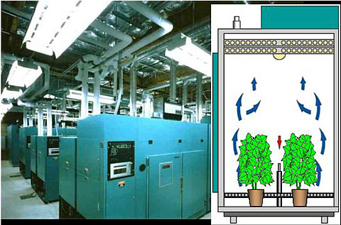 Controlled Environment Facility at the University of California-Davis, was fitted with an air intake filtration system designed to remove volatile and semi-volatile organic pollutants, providing an opportunity to track the long-term transfer of soil-borne chemicals into vegetation and to monitor specific uptake pathways.