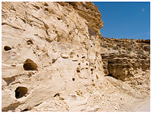 	Figure 1. Bird’s-nest aquifer as exposed in outcrop, Evacuation Creek, Uintah County, Utah. This aquifer lies several hundred feet above the richest oil shale unit.