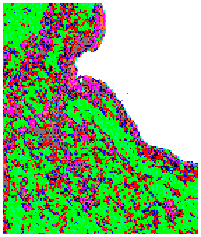 Geobotanical map for USGS Site A with 48 classes.