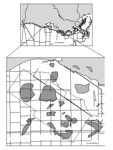 Map of Vermilion and South Marsh Areas showing the study’s primary target fields, Starfak and Tiger Shoal, as well as surrounding fields.