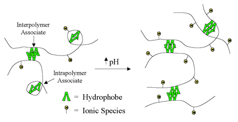 Model illustrating the effect of solution pH on terpolymer association behavior. (Figure B.)