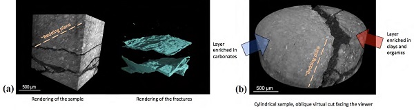 Figure 6: Results from the micro-scale fracture imaging experiments showing (a) fractures appear to be irregular and are primarily controlled by the applied stress state with no apparent interaction with the microstructure and (b) fractures appear irregular and orient with the stress state but the main crack was generated along a bedding plane between a carbonate-rich layer (left) and clay-rich layer (right). The clay-rich layer also contains a number of secondary fractures, while the carbonate-rich layer remains intact.