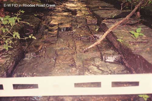 Exposed Fracture Image: E-W FID in Rhodes Road Creek