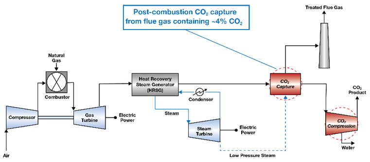 Process diagram of carbon capture and compression in an NGCC plant