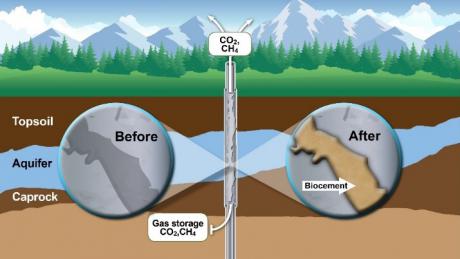 The image above illustrates MICP formation in a wellbore cement defect and leakage pathway. The resulting mineral seal mitigates leakage to aquifers and the atmosphere. Reprinted from the International Journal of Greenhouse Gas Control, Vol 86