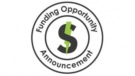 The FOA (Funding Opportunity Announcement) Logo
