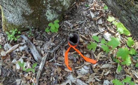 A photo of an open pipe sticking out out of the ground, with an orange ribbon tied around the shaft of the pipe.