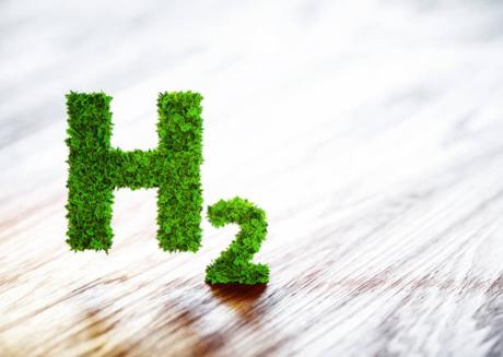 Animated text covered in greenery reading the phrase 'H2'.