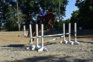 Phil Reppert training at RAX Run Eventing in Northern Virginia with Gory, a Hanoverian horse.