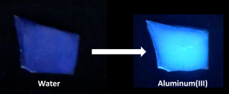 The NETL-developed sensing film under blue light with just water and then with aluminum added.
