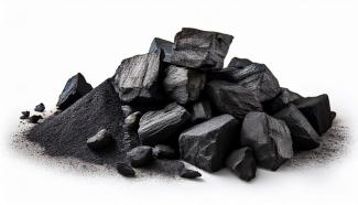 Graphite petroleum coke